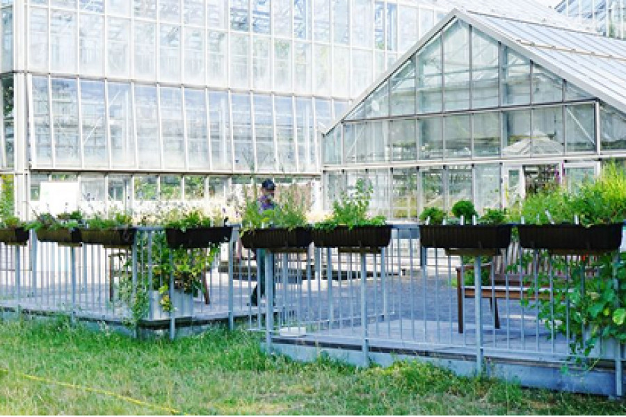 Blick auf die Gewächshäuser im Botanischen Garten der Universität Leipzig
