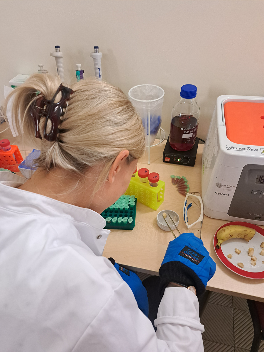 Eine Interessierte beim Biobank-Triathlon, das interaktive Mitmachprogramm
