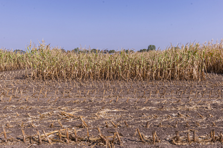 Acker, André Künzelmann/UFZ
