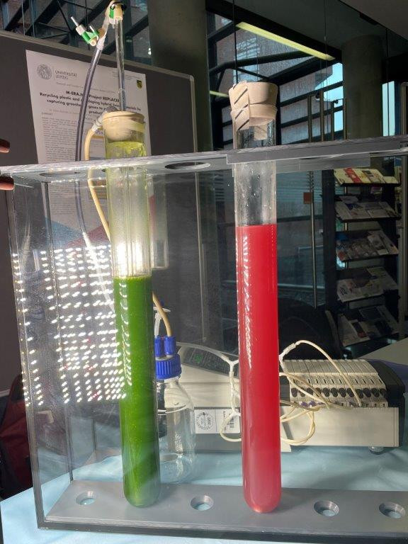 Bioreaktoren