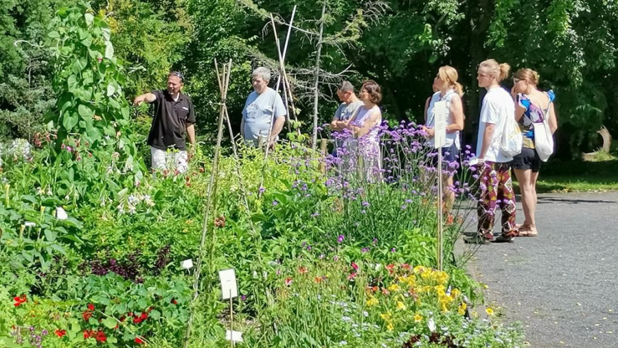 Führung durch den Botanischen Garten. Foto: Wolfgang Teschner